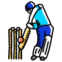 Indian Premier League (IPL)